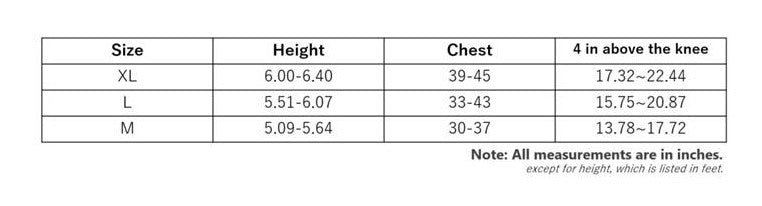 サイズチャート