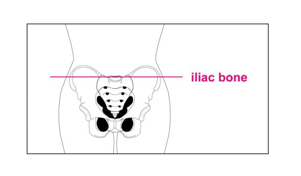 サイズチャート